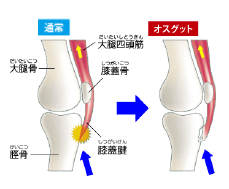 ホームページ限定割引