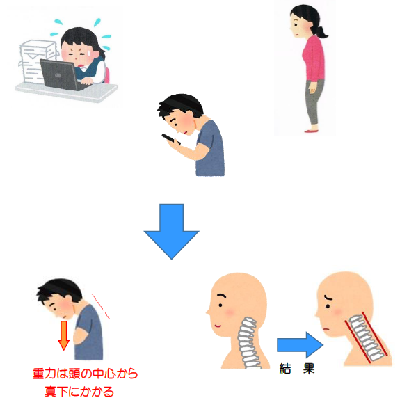 重力は頭の中心から真下にかかる